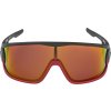 168013 2 alpina cyklisticke okuliare legend q lite cierno cervene mat