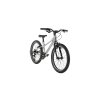 Coast Trail20 7 bicykel silver front