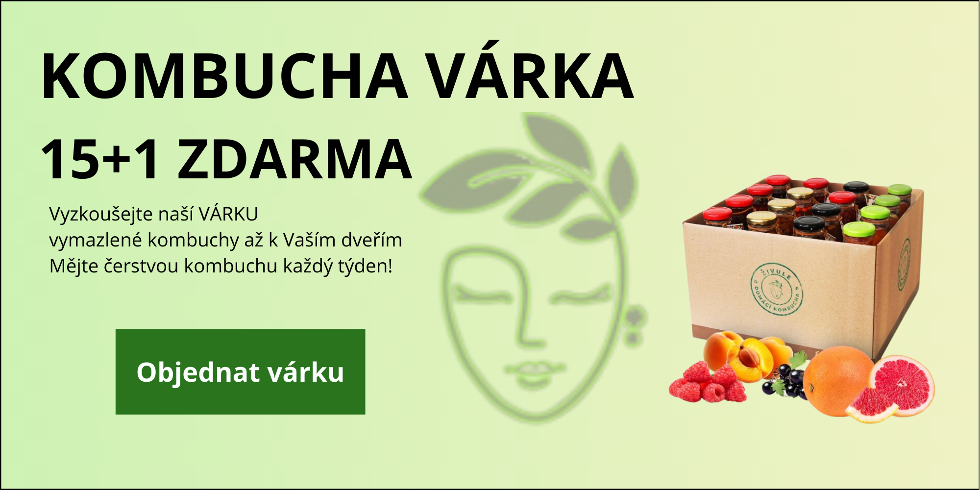 Výhodné várky kombuchy