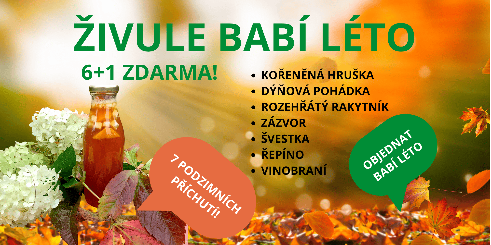 ŽIVULE BABÍ LÉTO