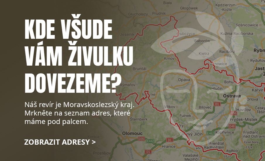 Kam Vám kombuchu dovezeme?