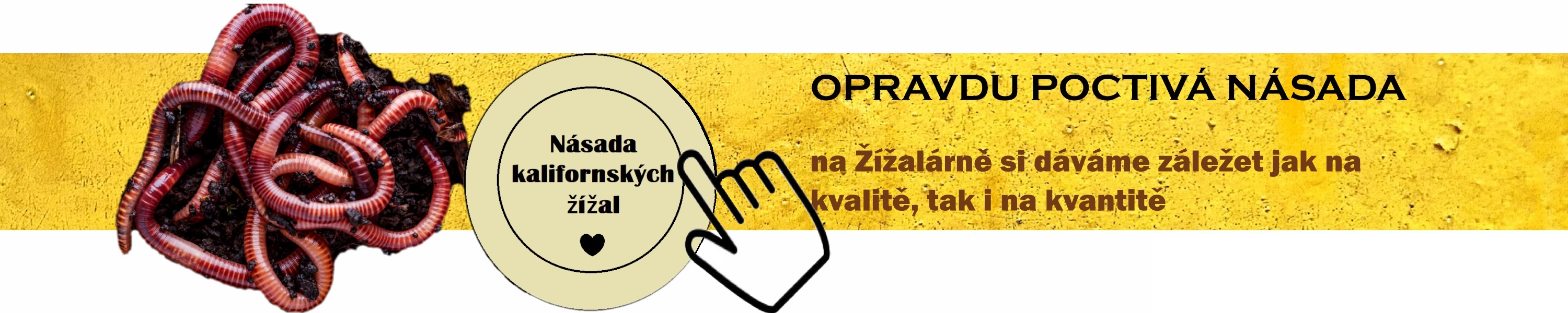 Kalifornské žížaly koupit