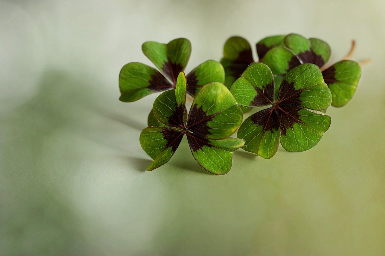 Inspirace pro mladé zemědělce