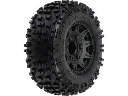 PRO117310