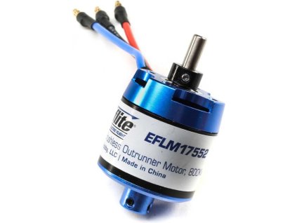 EFLM17552