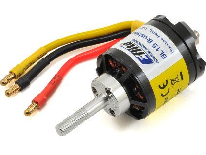 EFLM4115