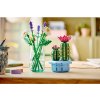LEGO Botanicals - Kvetoucí kaktus