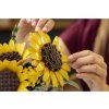 LEGO Botanicals - Kytice slunečnic
