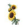 LEGO Botanicals - Kytice slunečnic