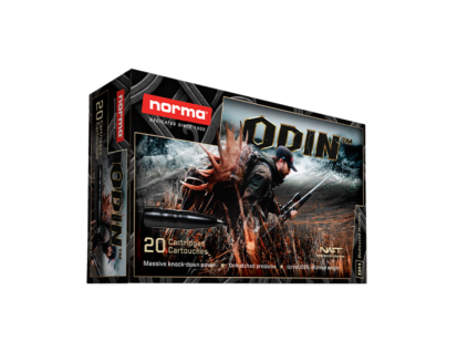 odin1