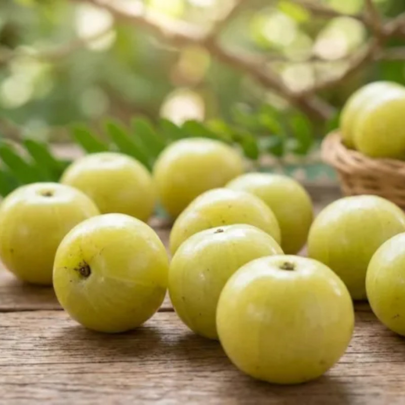 Indický egreš (Amla): posvätný plod s mnohými benefitmi