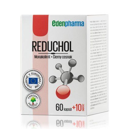 Reduchol 6010 cps SK