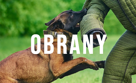 obrany pes