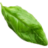 Bazalka
