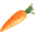 Mrkev
