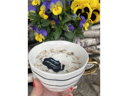 609ad47b 0948 4a58 9a8b 474c5a46762c