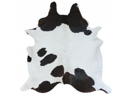 hovezi kuže vetši88