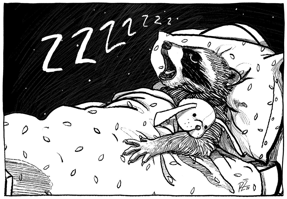 Jak jsem zapomněla, že mám taky nějaké sny