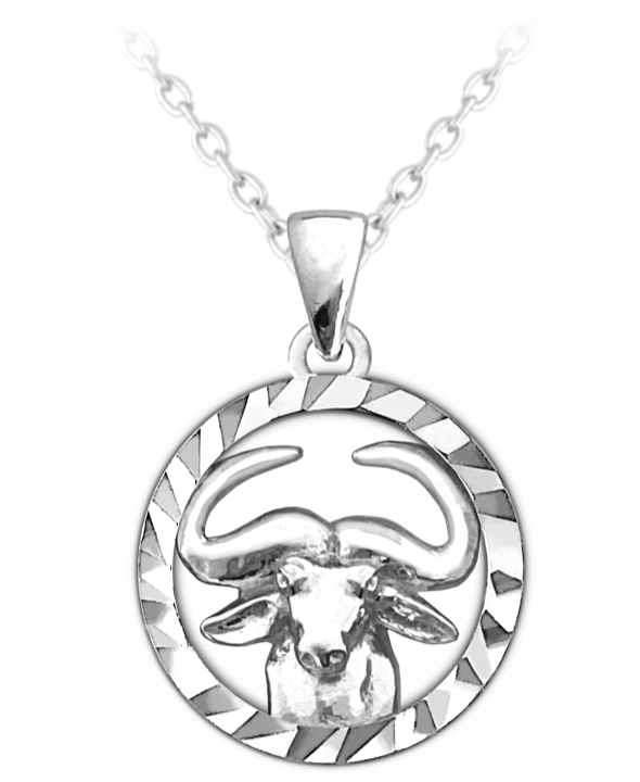 Znamení Býk - stříbrný náhrdelník