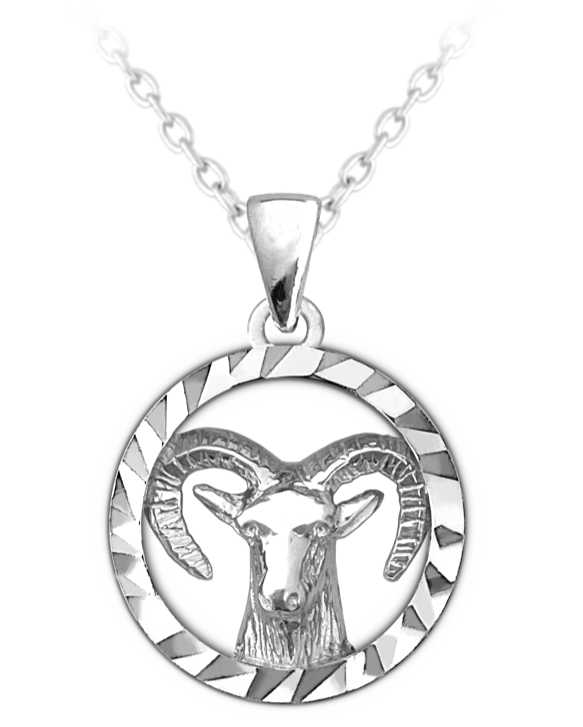 Znamení Kozoroh - stříbrný náhrdelník