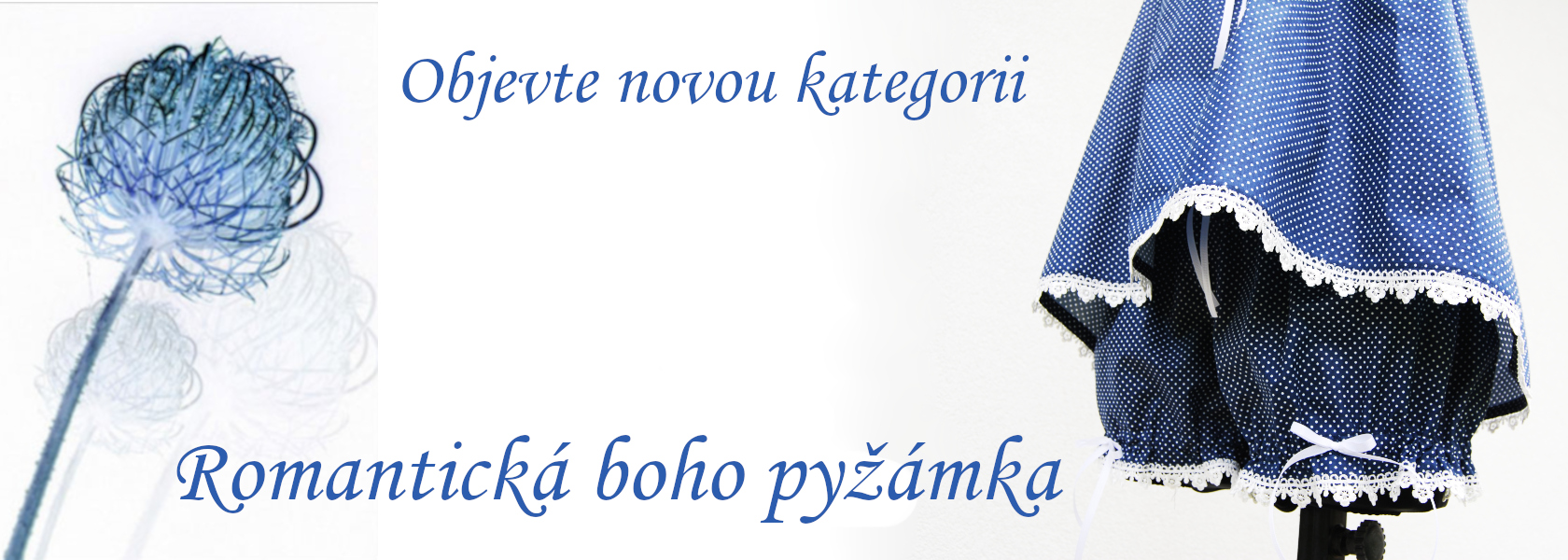 nová kategoie