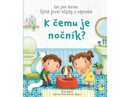 K ČEMU JE NOČNÍK, KATIE DAYNES, zlatavelryba.cz