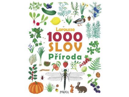 1000 SLOV, kolektiv, zlatavelryba.cz (1)