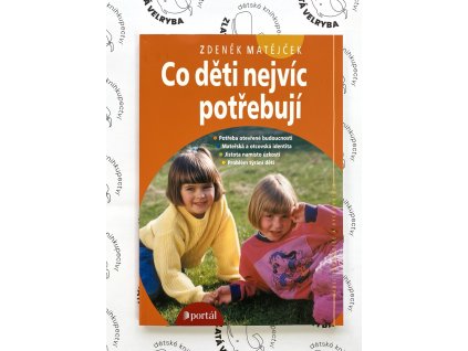 CO DĚTI NEJVÍC POTŘEBUJÍ, ZDENĚK MATĚJČEK, zlatavelryba.cz (1)
