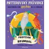Potterovský průvodce: Profesor Brumbál