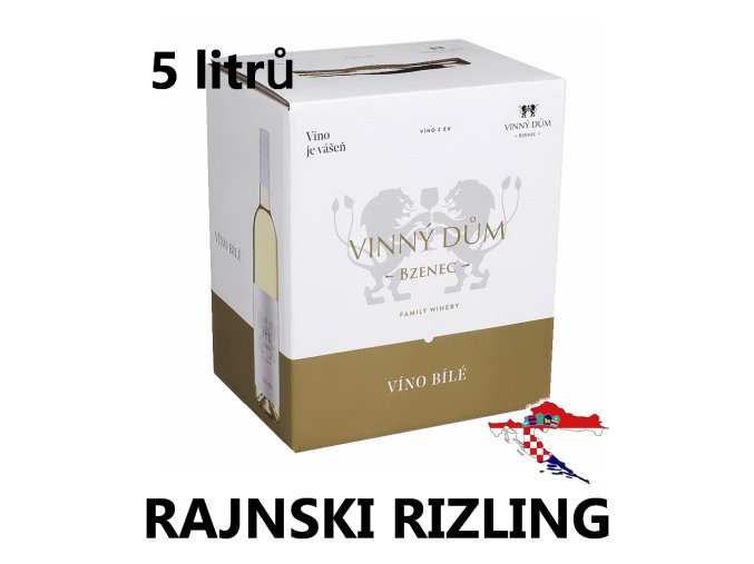 RajnskiBiB