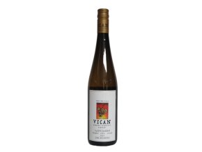 Vican Sauvignon PS 2024 suché 1