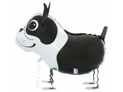 48cm fóliový balónek - Chodící Bostonský teriér