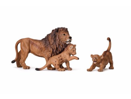 Lví rodina na bílé scéně