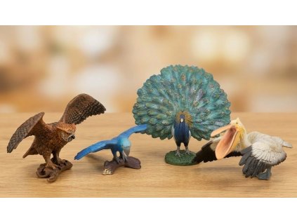 Zoolandia Ptáci sada