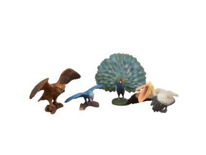 Zoolandia Páv a další ptáci sada