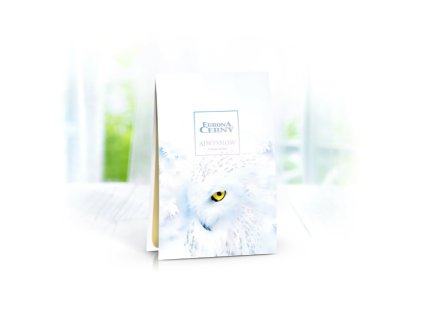 EURONA AIWYSNOW - Parfémová sašetka 125 ml
