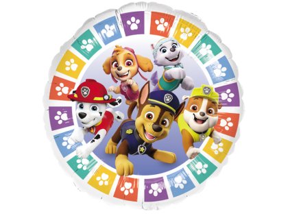 paw patrol