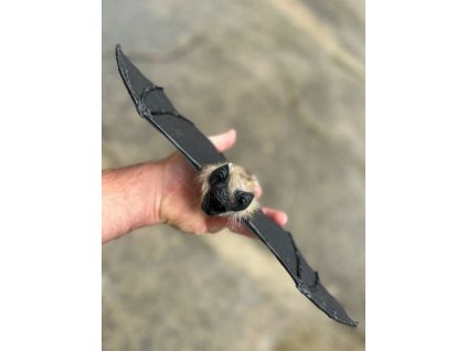 Netopýr plyšový závěsný 40cm