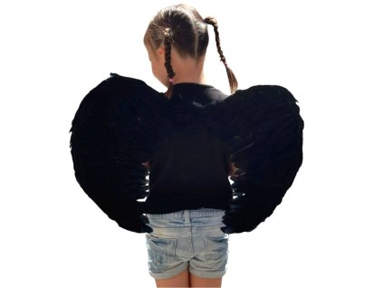 Křídla z pravého peří 60cm dvě varianty