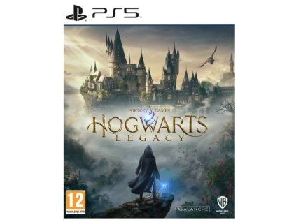 Hogwarts Legacy (PS5)