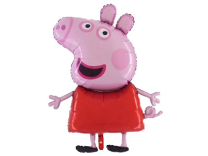 Snímek obrazovky 2026 01 13 115850