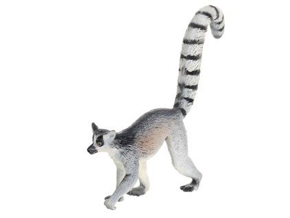 Lemur kata - ZooLandia