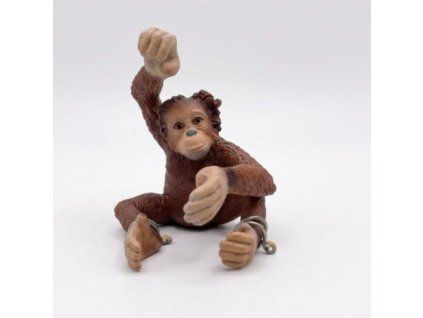 ZooLandia Mládě orangutana