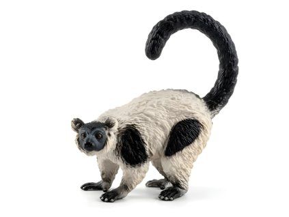 Lemur Vari - ZooLandia