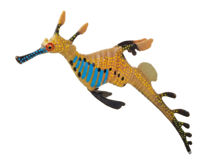 Řasovník protáhlý - ZooLandia