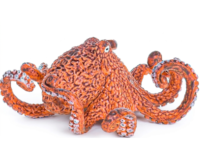 Chobotnice - ZooLandia