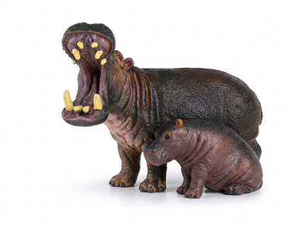 Hroch s mládětem - ZooLandia