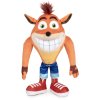 crash bandicoot