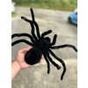 Plyšový pavouk 50 cm