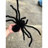 Plyšový pavouk 50 cm